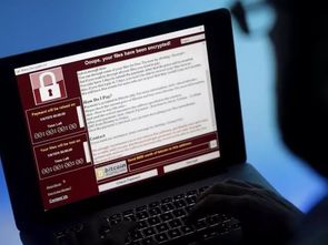 網(wǎng)絡(luò)與信息安全信息通報(bào)中心 軟件開發(fā)的關(guān)鍵角色